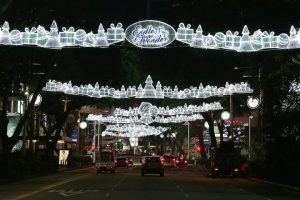 Lights along Orchard road 