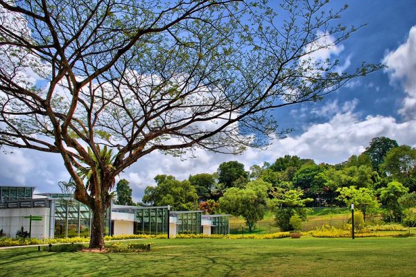 quiet places in singapore hortpark