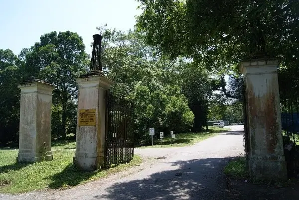Bukit Brown Cemetery haunted places in singapore