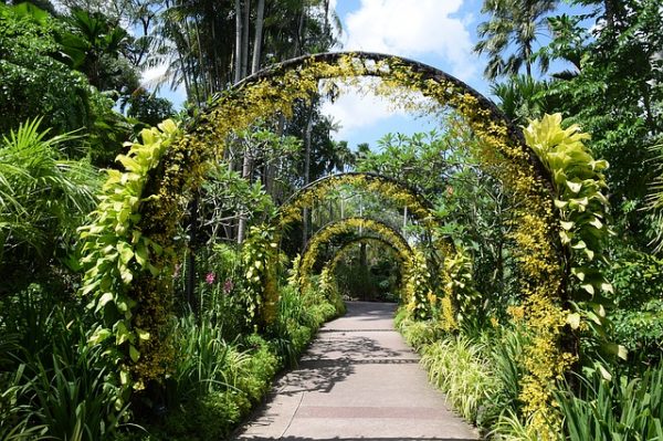 quiet places in singapore botanic gardens