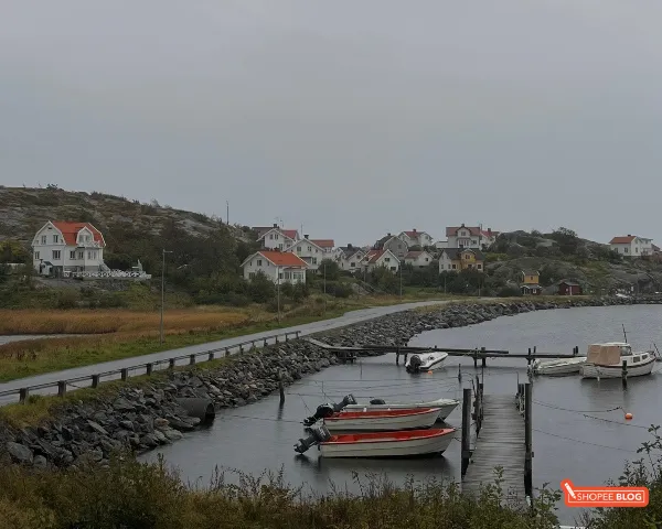 Exchange student survival guide