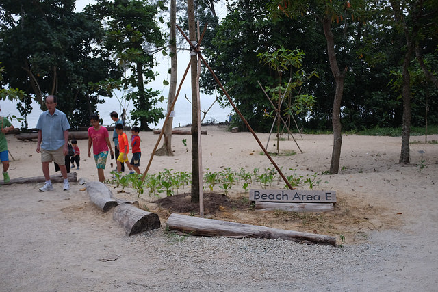 Hiking Trails Singapore Coney Island Beach Area