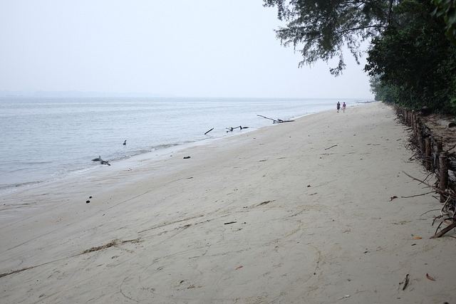 Hiking Trails Singapore Coney Island Beach