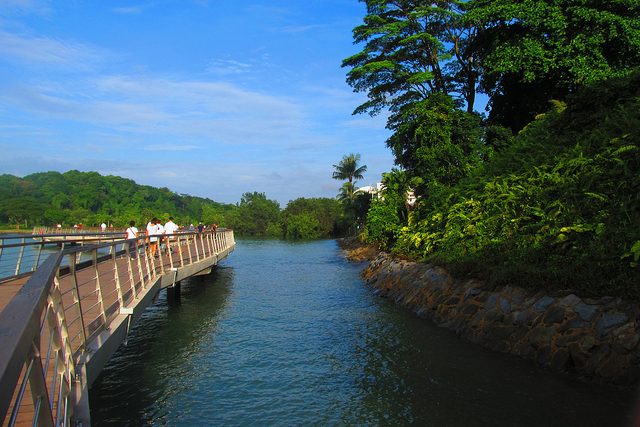 Hiking Trails Singapore Labrador Park Boardwalk