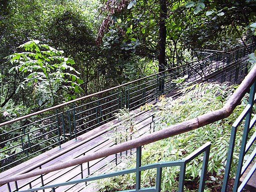 Hiking Trails Singapore Labrador Park Wooden Walkway