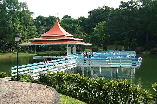 Hiking Trails Singapore MacRitchie Reservoir