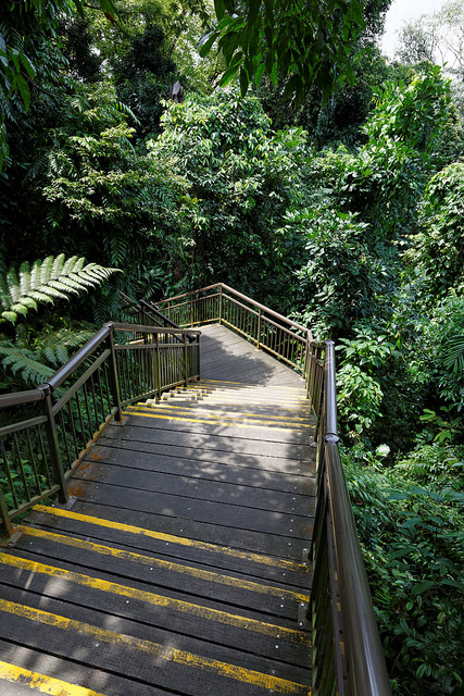 Hiking Trails Singapore Marang Trail