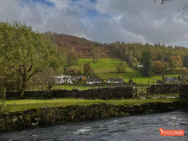 Exchange student survival guide