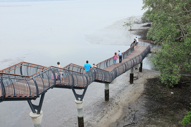 Hiking Trails Singapore Sungei Buloh Coastal Boardwalk