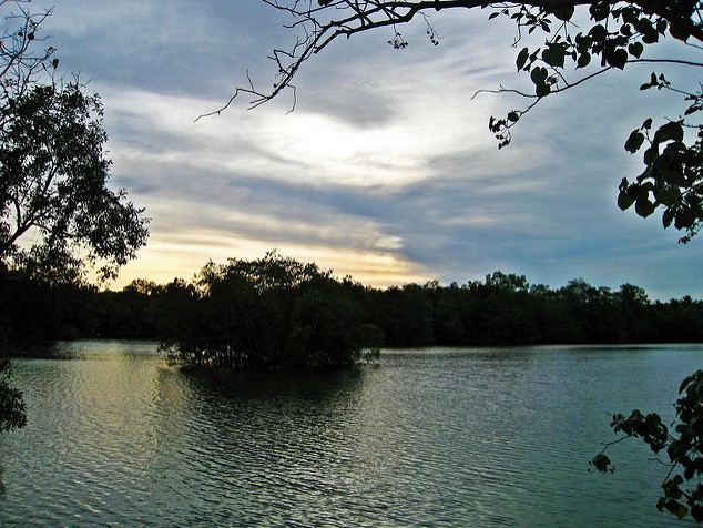 Sungei Buloh Wetland Reserve Sunset Singapore