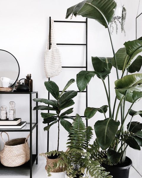 hdb home decor idea bto minimalistic black white plants