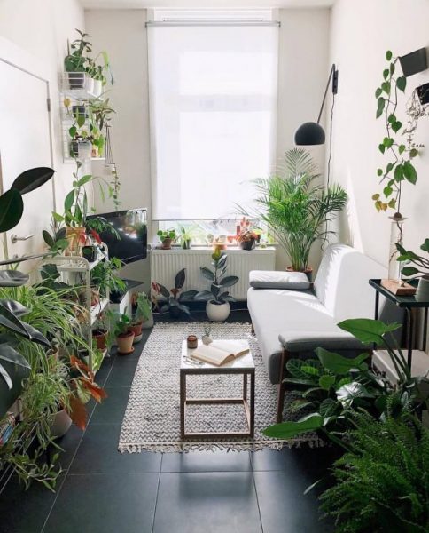 hdb home decor idea indoor plant greenery living room