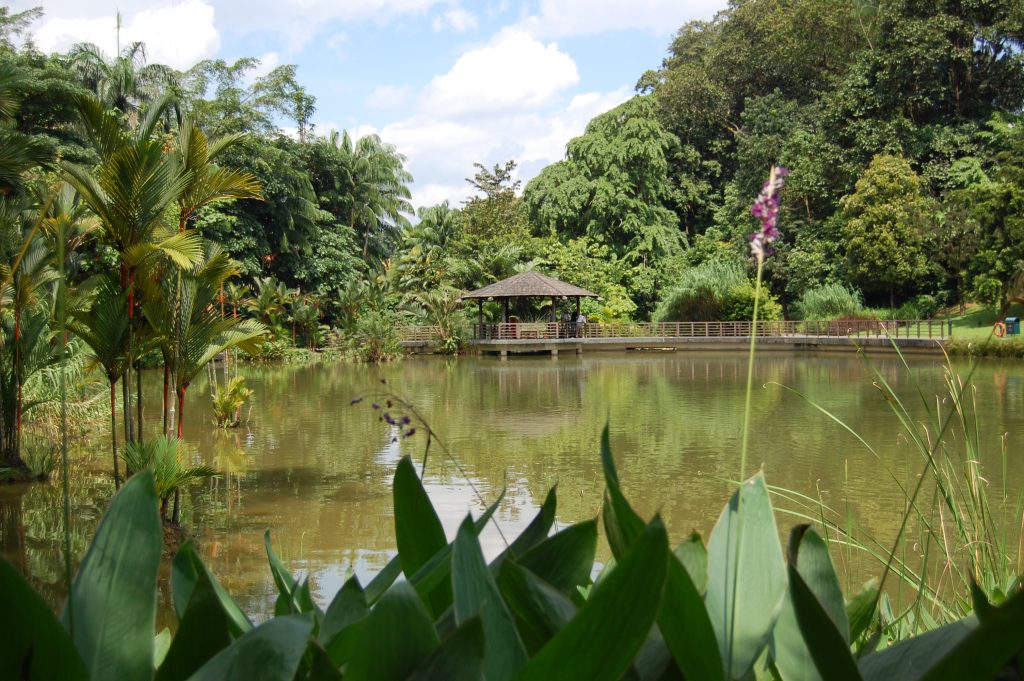 Botanic Gardens Stargazing in Singapore