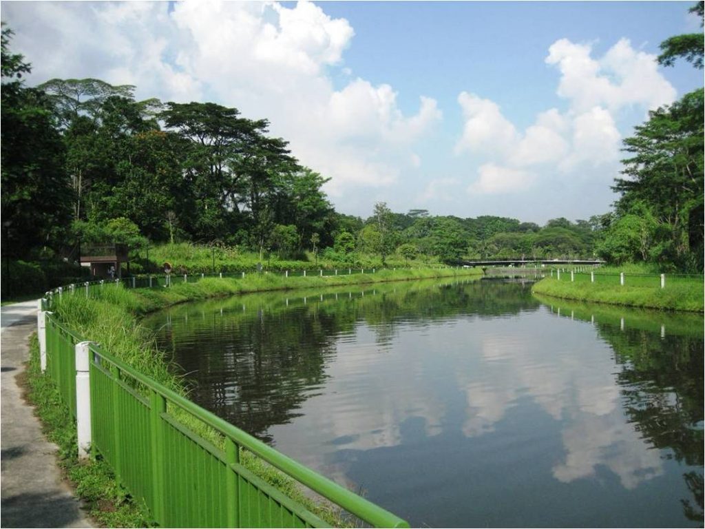 Springleaf Nature Park Stargazing in Singapore