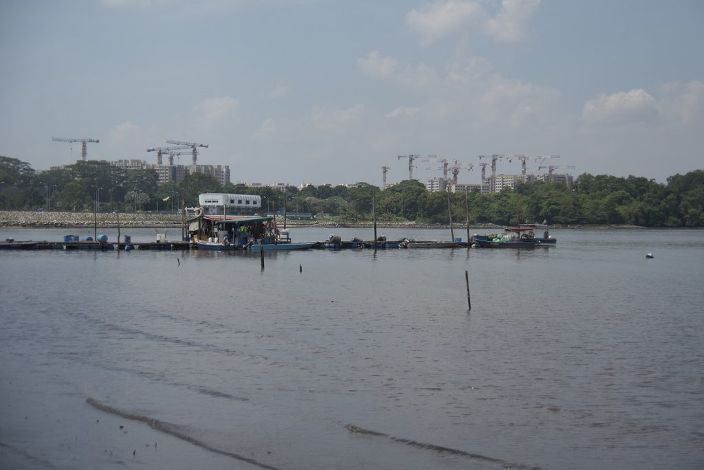 Yishun Dam Stargazing in Singapore