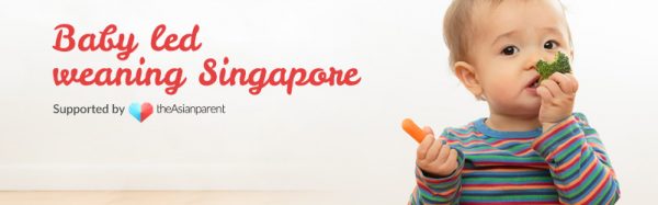 support groups singapore baby led weaning