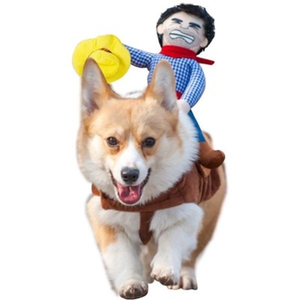 halloween costume ideas pet dog corgi cow boy