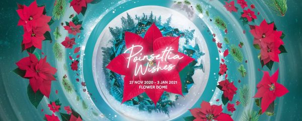 christmas gift experience singapore activty gardens by the bay poinsettia wishes floral display