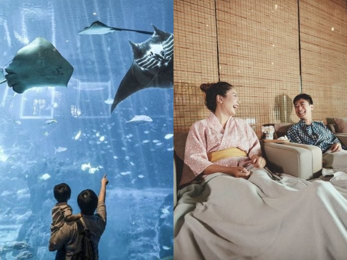 BeFunky-collage (28) christmas gift experience singapore activity sea aquarium yunomori onsen spa