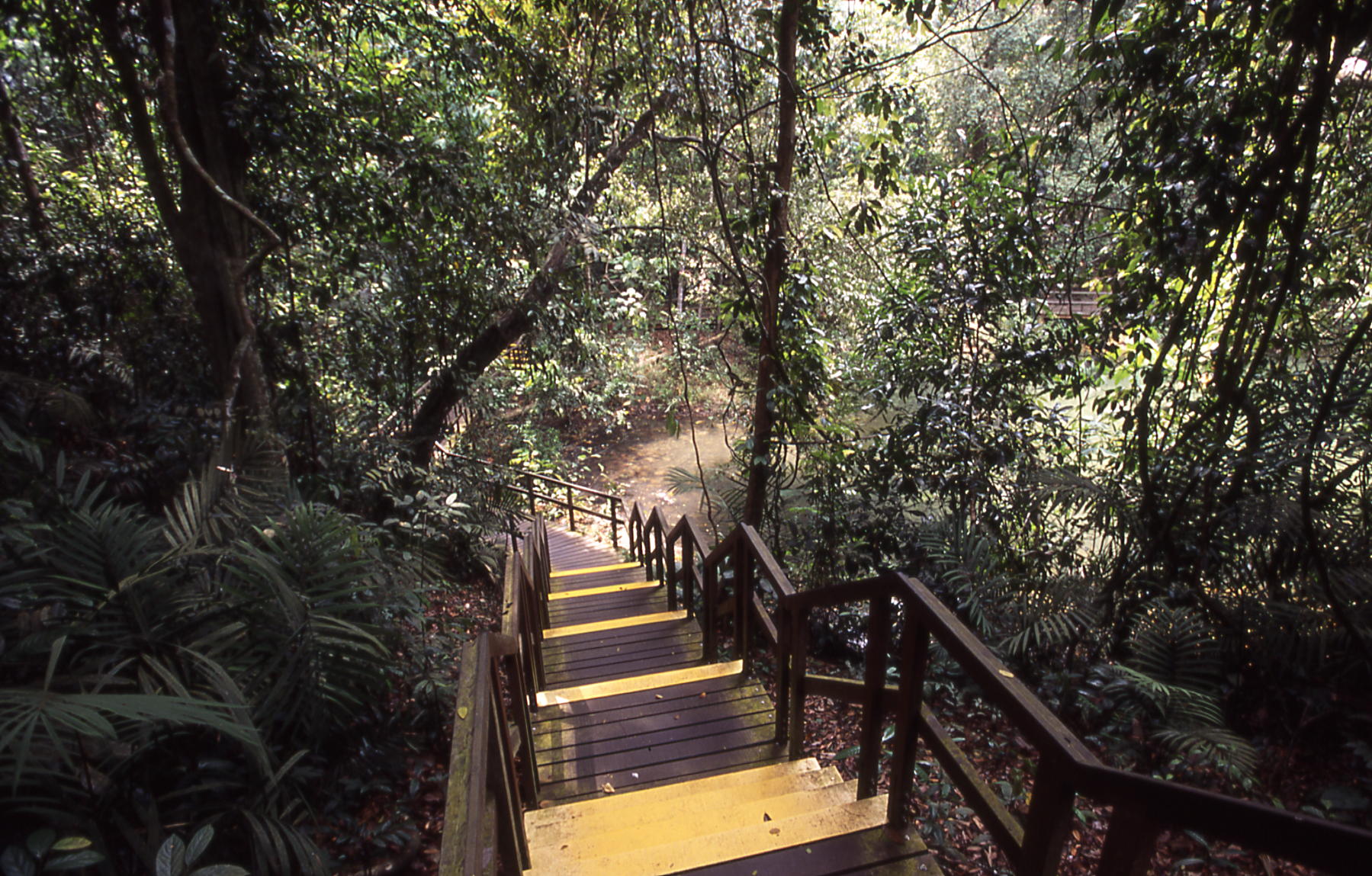 hiking couple activities singapore