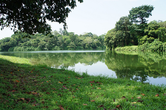 cycling singapore mandai road upper seletar reservoir