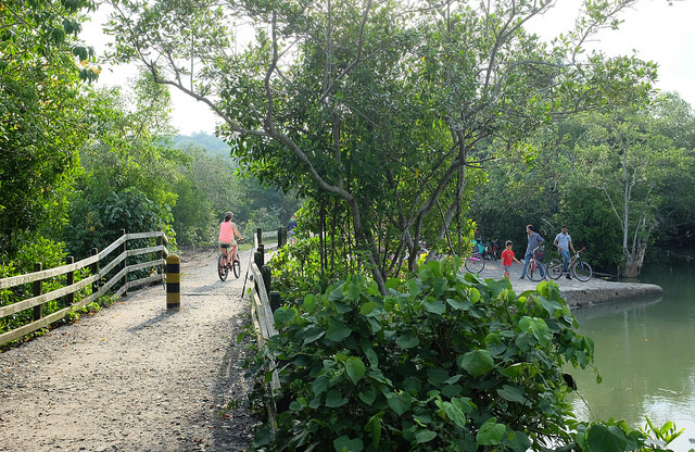 cycling singapore pulau ubin bike trail