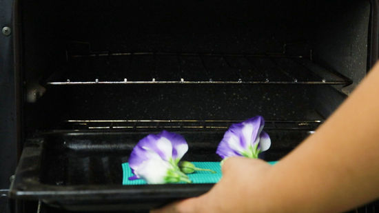 Flower in appliance