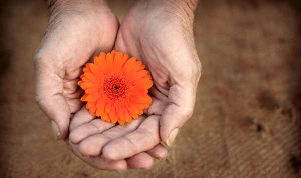 Flower TLC