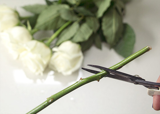 Flowers Stem Being Cut