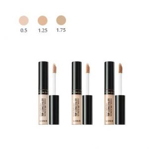 The SAEM Tip Concealer