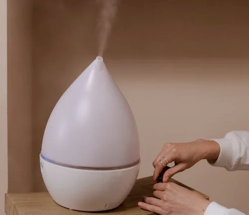 how to choose best humidifiers in singapore