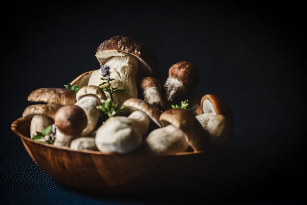 mushroom vitamin b3 best vitamins for skin