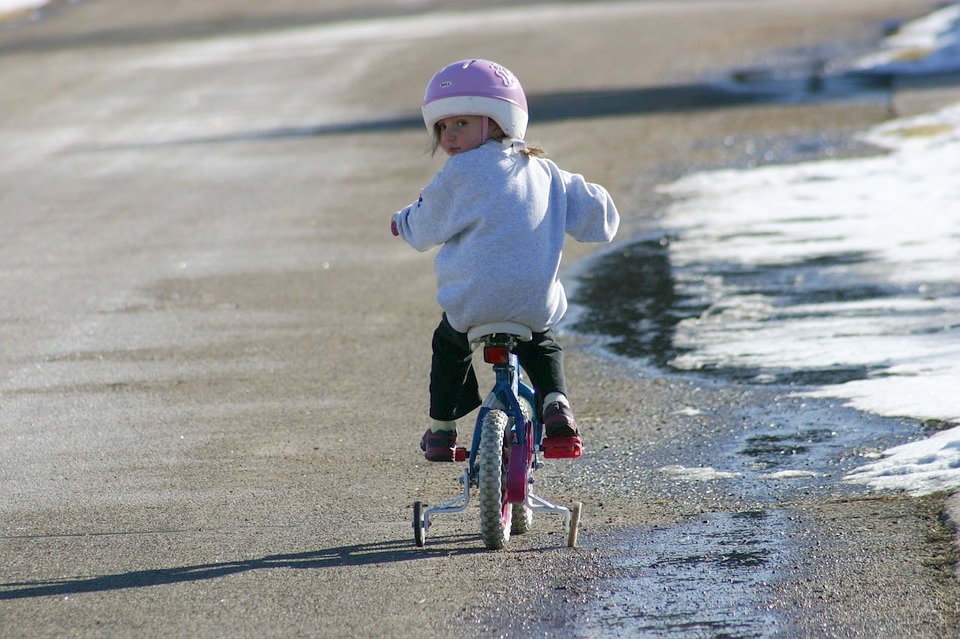 training wheels tricycle