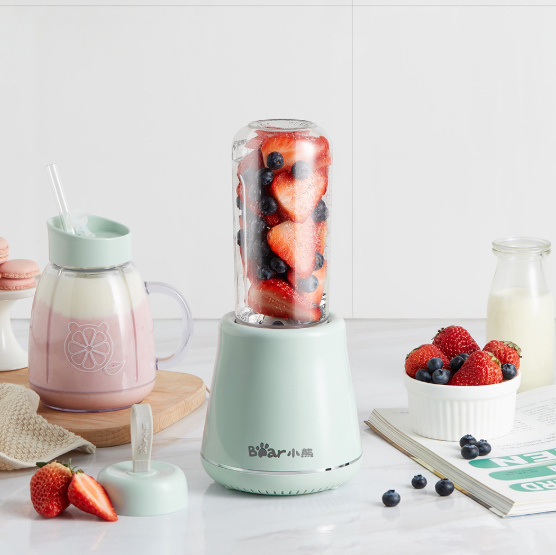 powerpac bear personal blender best personal blender for smoothies