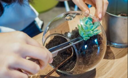 j2 terrarium things to do in singapore with kids