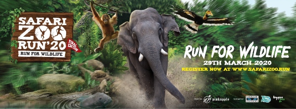 safari zoo run singapore running events in 2020