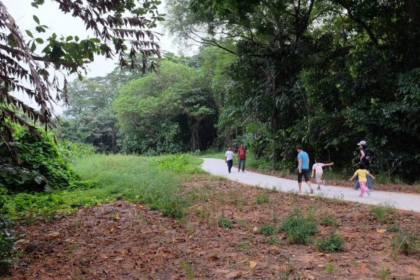 sungei buloh things to do in singapore with kids