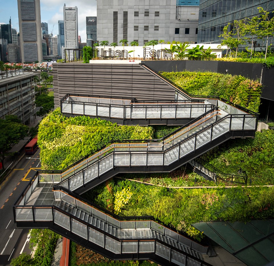 rooftop urban farm new funan mall