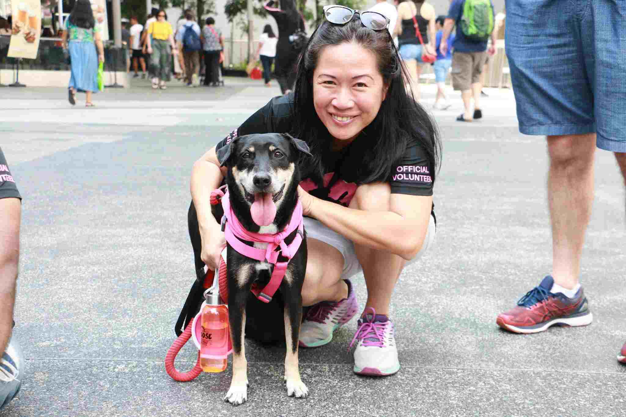 cas animal shelter singapore