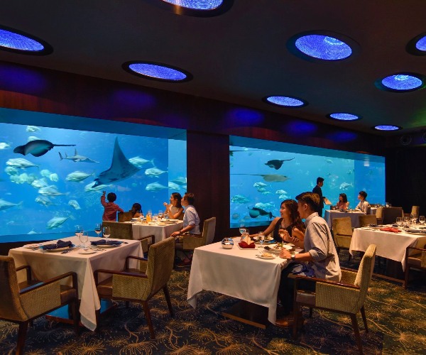 ocean restaurant unique restaurant singapore