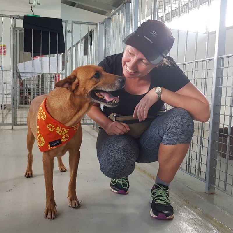 oscas animal shelter singapore