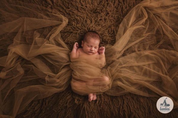 newborn photography singapore bambini studio