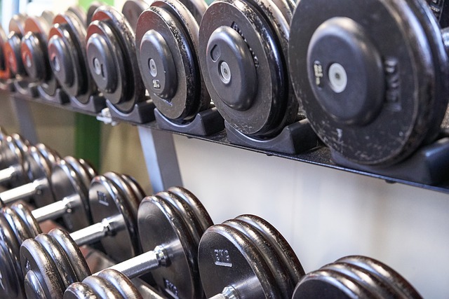 dumbbells gym for beginners