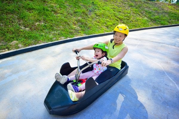 2020 december school holidays fun activities for kids skyline luge