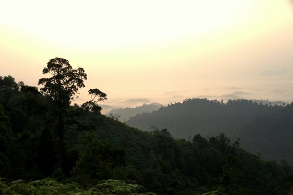 bukit panorama malaysia road trip from singapore