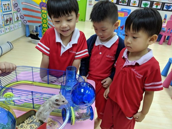 best preschool singapore mindchamps academic curriculum