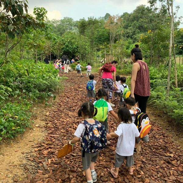 best preschool singapore mahota nature learning