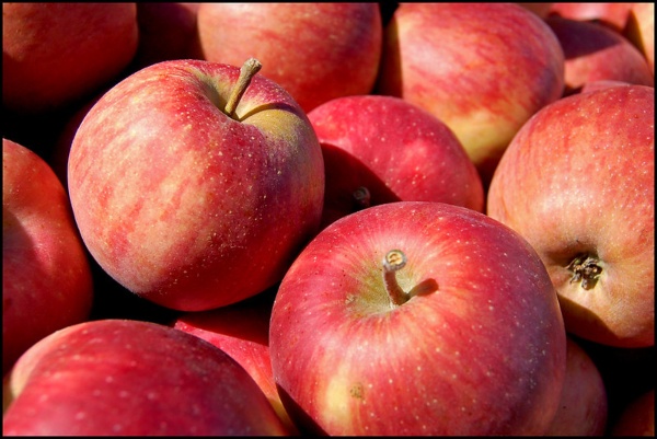 apples foods to boost immunity systems