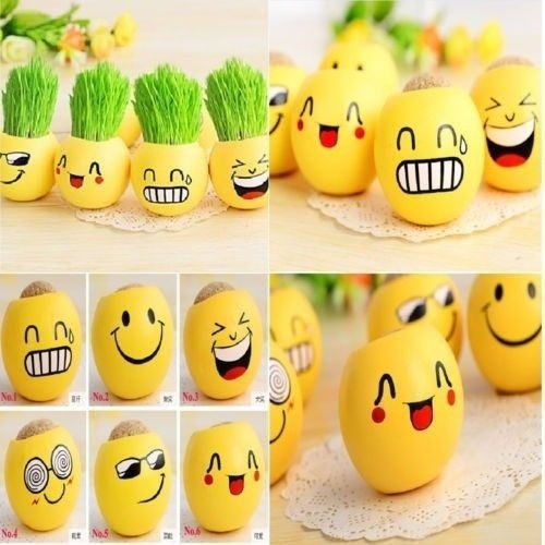 Plant Growing Kits DIY Ceramic Planter Planting Magic Grass Head