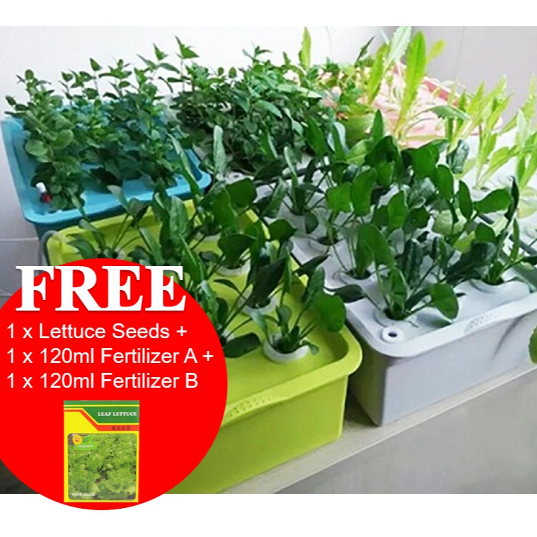 Plant Growing Kits Indoor Hydroponics Gardening Kit